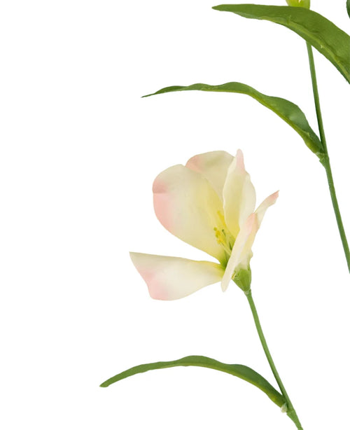 Il rododendro artificiale Azalea Real Touch Crema/rosa da 80 cm ha delicati petali color crema e rosa tenue con foglie verdi su un lungo stelo, bellissimi su uno sfondo bianco.