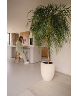 Een Kunst Wilgenboom 210 cm staat op de voorgrond van een lichte, minimalistische keuken. Op de achtergrond zit een persoon in lichtgroen op een barkruk aan het aanrecht te werken op een laptop.