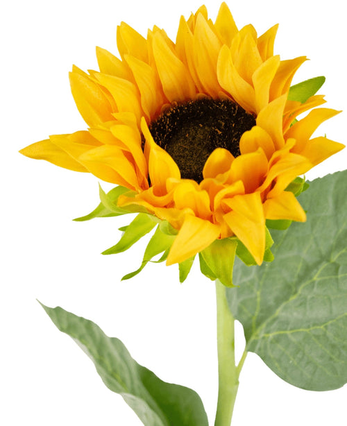 Un primo piano del Girasole artificiale Real Touch da 61 cm, caratterizzato da un vivace girasole giallo con un centro marrone scuro e foglie verdi su uno sfondo bianco.