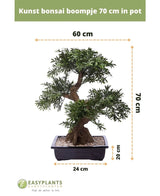Kunst bonsai boompje 70 cm in pot, met witte steentjes en sierpot (maat: 70x60 cm, pot 24x20 cm). Tekst en pijlen tonen afmetingen-ideaal voor een stijlvolle inrichting.