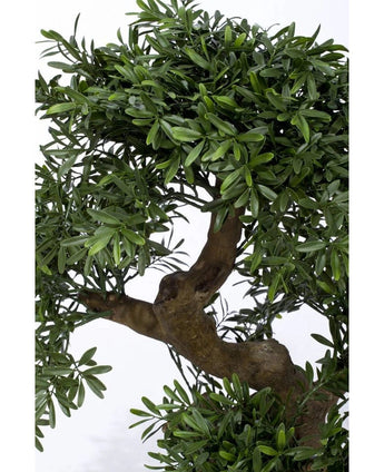 Close-up van Kunst bonsai boompje 70 cm in pot, met een dikke, gedraaide stam en dicht donkergroen blad, elegant weergegeven tegen een effen witte achtergrond.