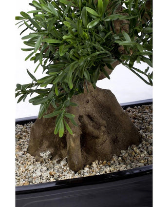 Close-up van een Kunst bonsai boompje 70 cm in pot, met zijn stam en groene bladeren in een ondiepe zwarte bak gevuld met kleine kiezels.