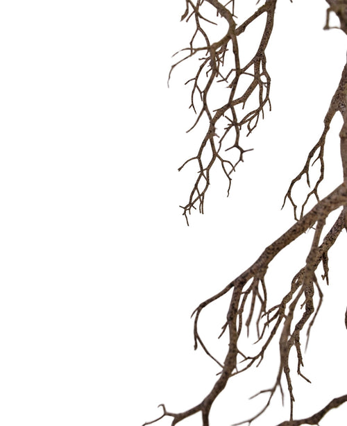 Il ramo decorativo artistico da 118 cm estende rami sottili e senza foglie dall'alto a destra su uno sfondo bianco, formando un intricato motivo naturale con uno spazio negativo a sinistra.