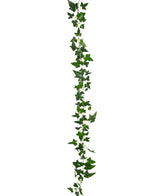 De Kunst hangplant Klimop Boston Slinger 180 cm groen heeft een enkele streng van groene klimop met puntige bladeren, verticaal hangend tegen een effen witte achtergrond.