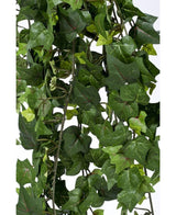 Close-up van dichte, groene bladeren met zichtbare nerven en stengels aan de Kunst klimop hangplant 125 cm brandvertragend, tegen een effen witte achtergrond.