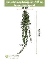 De Kunst klimop hangplant 125 cm brandvertragend is afgebeeld tegen een witte achtergrond met maataanduidingen en het Easyplants Kunstplanten logo onderaan.