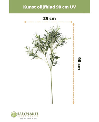 Kunst olijfblad 90 cm UV van EasyPlants, 90 cm hoog en 25 cm breed. Dit UV-bestendige kunstblad brengt een blijvende mediterrane sfeer in je ruimte met zijn levendige groene bladeren.