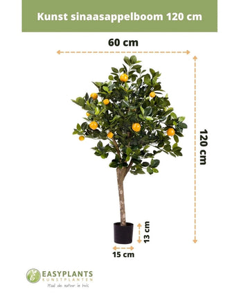 De Kunst sinaasappelboom 120 cm heeft groene bladeren en oranje vruchten, staat in een kleine zwarte pot (13x15 cm), is 60 cm breed en wordt geleverd met Nederlandse tekst en EasyPlants-logo.