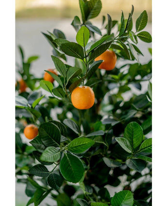 Een close-up van de Kunst sinaasappelboom 120 cm toont levendige oranje vruchten tussen glanzend groene bladeren, met een onscherpe achtergrond die de realistische, levendige uitstraling van de kunstboom benadrukt.