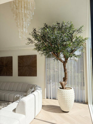 Un ulivo artificiale senza olive di 270 cm si trova accanto a una grande finestra in un soggiorno luminoso e moderno con un divano bianco curvo, due opere d'arte alla parete, tende e un lampadario decorativo. Questo accento a bassa manutenzione fornisce una vegetazione lussureggiante senza il fastidio della manutenzione quotidiana.