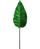 Een enkel Kunstblad Alocasia 76cm kunstblad, levendig groen met prominente nerven en een glad oppervlak, bevestigd aan een lange, dunne steel, tegen een effen witte achtergrond.