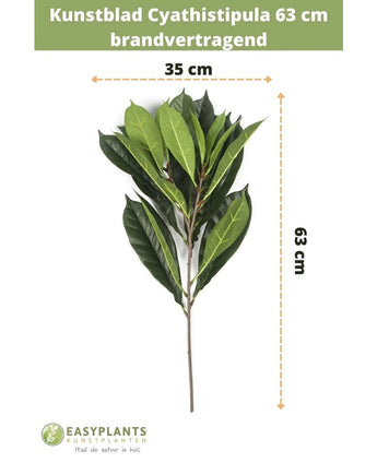 Kunstblad Cyathistipula 63 cm brandvertragend, groen blad, 35 cm breed. Vlamvertragend volgens productomschrijving. EasyPlants logo en branding onderaan zichtbaar.