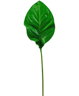 Het Kunstblad groen 90cm is een enkel, glanzend groen kunstblad met prominente nerven en een lange, slanke steel, geïsoleerd afgebeeld op een witte achtergrond.
