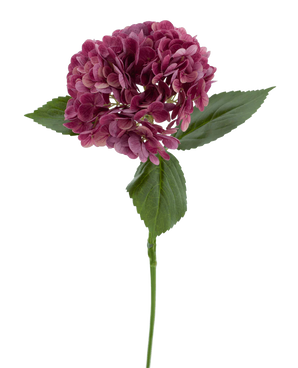 Il fiore artificiale Charlotte Hydrangea Real Touch viola 55 cm ha un unico stelo di un'ortensia viola con diversi piccoli petali e foglie verdi, su uno sfondo bianco semplice.