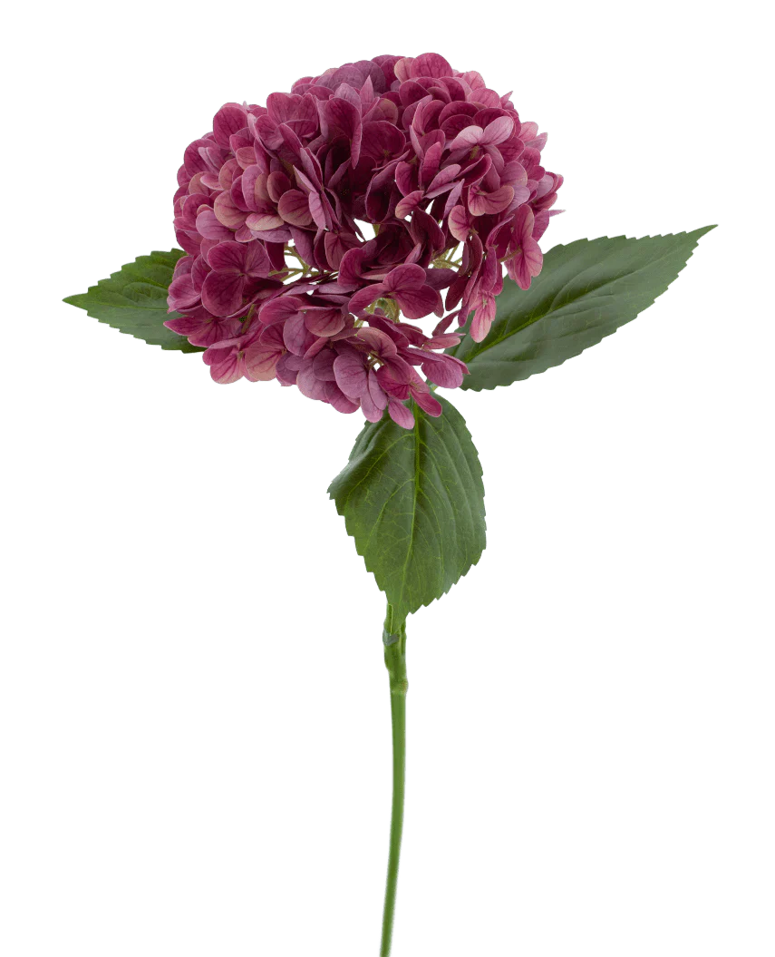 Il fiore artificiale Charlotte Hydrangea Real Touch viola 55 cm ha un unico stelo di un'ortensia viola con diversi piccoli petali e foglie verdi, su uno sfondo bianco semplice.
