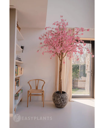 De Kunstboom Kersenbloesem roze 240 cm met roze bloesems staat bij een raam in een lichte, moderne kamer. Een houten stoel staat vlakbij, met links boekenplanken en zonlicht dat door de transparante gordijnen naar binnen schijnt.