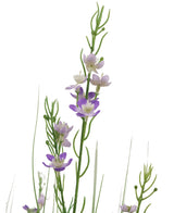 De Kunstgras Gierst Uien graspot 90cm brandvertragend heeft hoge groene stelen met slanke bladeren en kleine, vijfbladerige paarse en witte bloemen verspreid langs de stelen, prachtig weergegeven tegen een witte achtergrond.