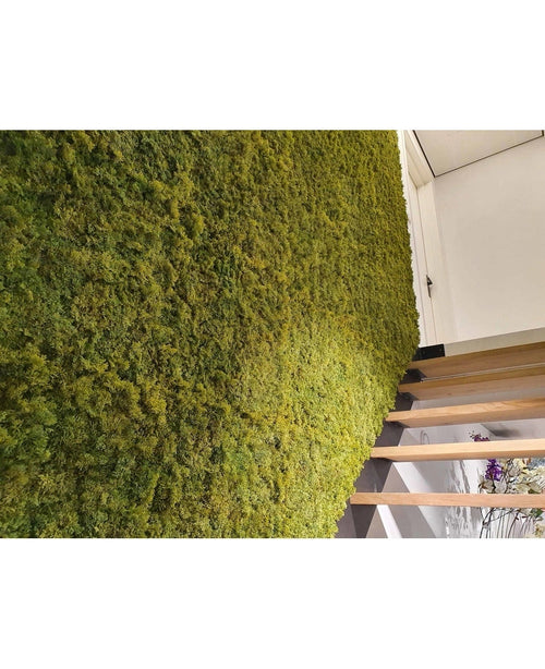 Un interno lussuoso con una parete verde verticale di Kunsthaag Nordic Moss 50x50 cm UV, lussureggiante accanto a una moderna trappola in legno. L'immagine angolata evidenzia il ricco testo del muschio e parte di una porta sopra.