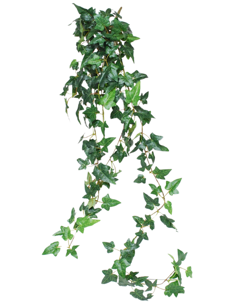 La pianta rampicante artificiale Ivy Boston è una pianta rampicante verde lunga 120 cm con foglie di edera lucenti, perfette per aggiungere verde su uno sfondo bianco.