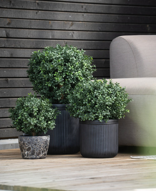 Tre arbusti rotondi di Buxus artificiale verde su stelo UV d30 cm in vasi neri a coste si trovano su un ponte di legno accanto a un divano grigio chiaro, con una parete di legno scuro dietro.