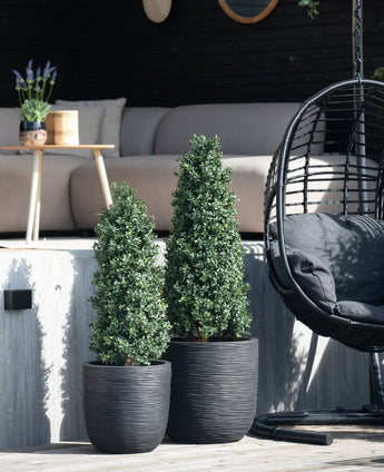 Twee Kunstplant Buxus Pyramide UV 90 cm vormbomen staan op een patio bij een buitenbank en een ronde rieten hangstoel met een zwart kussen, terwijl een klein tafeltje met een plant op de achtergrond staat.