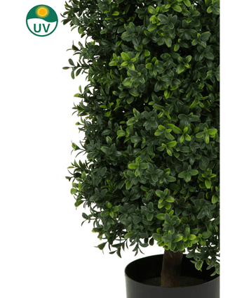 Een close-up van een Kunstplant Buxus Pyramide UV 90 cm met dichte groene bladeren. In de linkerbovenhoek staat een UV-beschermingssymbool met een gele zon en "UV" in een groene cirkel.