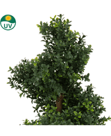 Close-up van de Kunst Buxus Spiraal Romeinse stijl UV 90cm, met dicht, glanzend groen blad en een bruine stam. Een UV-symbool linksboven benadrukt de UV-bescherming. De achtergrond is egaal wit.