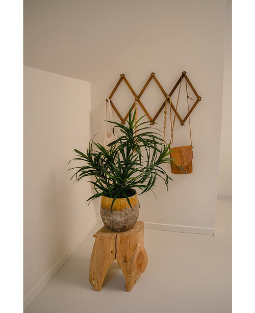 La Pianta Artificiale Dracaena Reflexa in vaso UV 63 cm decora una stanza minimalista con pareti bianche, posizionata su uno sgabello in legno naturale. Una mensola a muro in legno sul retro contiene una piccola borsa marrone e tessuti color crema per un interno tropicale.