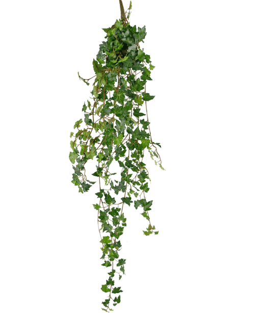 La pianta pensile artificiale Ivy deluxe 120 cm verde ha foglie verdi appuntite e steli pendenti che la fanno somigliare a una pianta di edera pendente. L'edera artificiale è isolata su uno sfondo bianco.