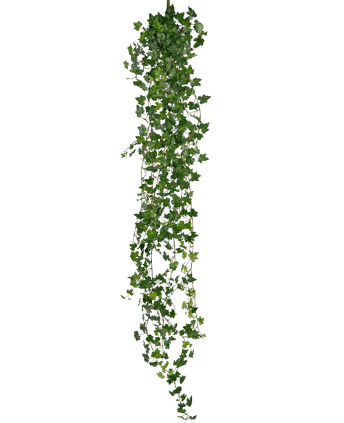 La pianta artificiale pensile Ivy deluxe 180 cm verde ha un lungo filo di edera verde con tante piccole foglie appuntite che cadono verso il basso, perfette come decorazione su uno sfondo bianco.