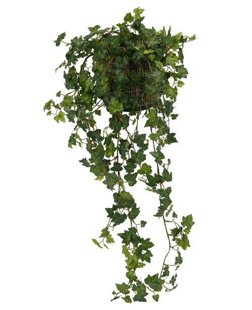 L'edera artificiale Deluxe verde da 90 cm è un cesto sospeso con lussureggianti tralci di edera verde che ricadono elegantemente su uno sfondo bianco.