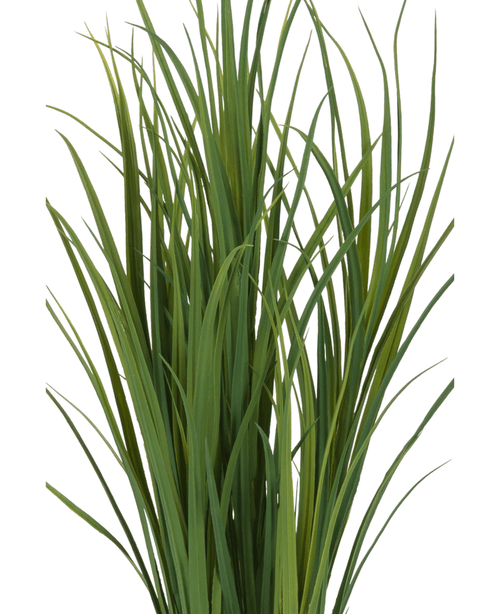 Primo piano dell'erba artificiale verde UV 90 cm: fili d'erba artificiale verde alti e sottili con foglie strette e appuntite che si estendono, arruffate insieme, su uno sfondo bianco.