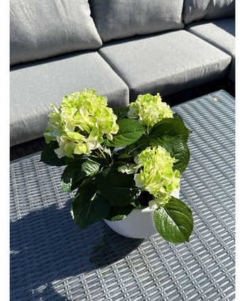 De Kunstplant Hortensia Groen UV 35 cm met lichtgroene bloemen staat op een grijze rieten buitentafel, voor een grijze sofa met kussens. Zonlicht belicht de kunstplant en werpt schaduwen over de tafel.