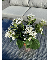 De Kunstbloem Kalanchoë plant UV 31 cm groot, met trosjes kleine witte bloemen en groene bladeren, staat op een rieten buitentafel met een grijze sofa met kussens op de achtergrond.