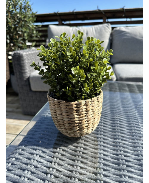 La pianta artificiale Buxus verde in vaso UV 19 cm, con foglie verdi in un vaso a forma di cesto di vimini, poggia su un tavolo da esterno in vetro con mobili da giardino e una ringhiera in legno visibile sotto un cielo azzurro e limpido.