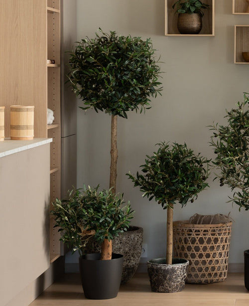 Una pianta di olivo artificiale con supporto UV artificiale da 60 cm con una parte superiore rotonda e frondosa aggiunge vegetazione che non richiede manutenzione a una stanza moderna e minimalista, posizionata vicino a scaffali in legno e cestini di vimini.