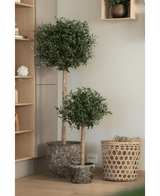 Twee Kunst olijfboom 85 cm UV potplanten met rond blad staan op een houten vloer bij een gevlochten mand met kussens. Een andere Kunst olijfboom 85 cm UV is gedeeltelijk zichtbaar op de linker stelling.