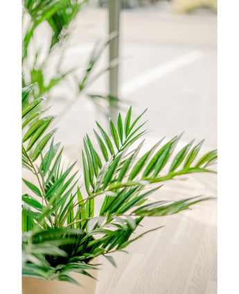 Een close-up van levendig groene Kunstpalm Parlour UV 60 cm bladeren in een zonovergoten binnenruimte met een lichte houten vloer en onscherpe achtergrond, die de schoonheid van deze realistische kunstplant benadrukt.