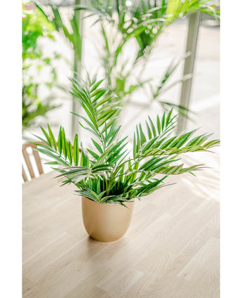 Een Kunstpalm Parlour UV 60 cm ligt op een lichte houten tafel, zonlicht stroomt naar binnen door de grote ramen terwijl andere kunstplanten zacht vaag op de achtergrond verschijnen.