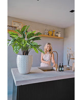 Een vrouw lacht naar een modern aanrecht met haar hand onder de kraan. De Kunstplant Calathea Makoyana Deluxe UV 75 cm staat op de voorgrond op het aanrecht. Open schappen tonen potten en decoratieve voorwerpen op de achtergrond.