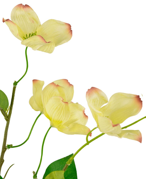 Il corniolo artificiale Real Touch giallo chiaro 74 cm ha uno stelo con tre fiori giallo chiaro leggermente scanalati con punte rosa e alcune foglie verdi, raffigurati su uno sfondo bianco.