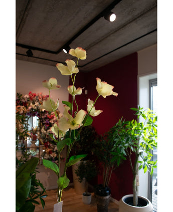 Een Kunstkornoelje Real Touch Lichtgeel 74cm, een lange steel crèmekleurige kunstbloemen met lichtroze randen, staat in een helder verlichte binnenruimte tussen verschillende potplanten en bloemstukken.