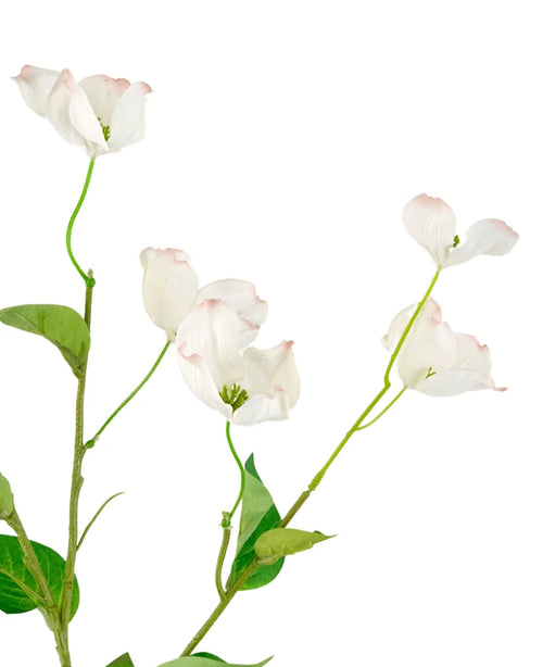 Il corniolo artificiale Real Touch White da 74 cm ha fiori bianchi realistici di corniolo con bordi rosa chiaro e foglie verdi su steli sottili, su uno sfondo bianco.