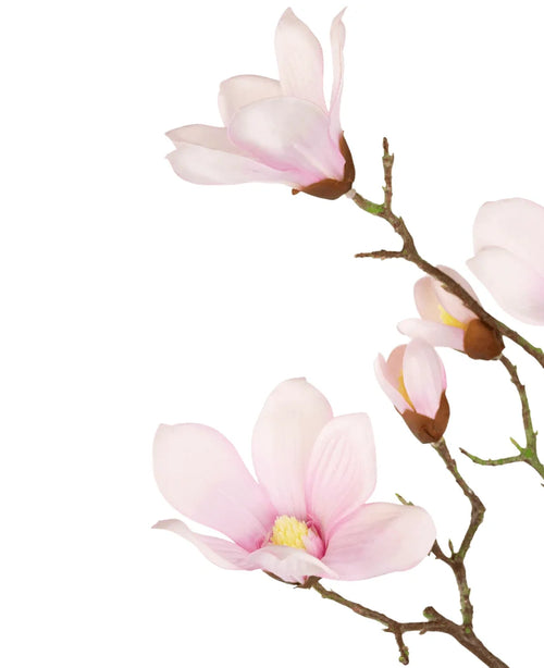 Il ramo di magnolia artificiale Real Touch Pink da 98 cm presenta delicati fiori e boccioli di magnolia rosa chiaro su un ramo, su uno sfondo bianco.