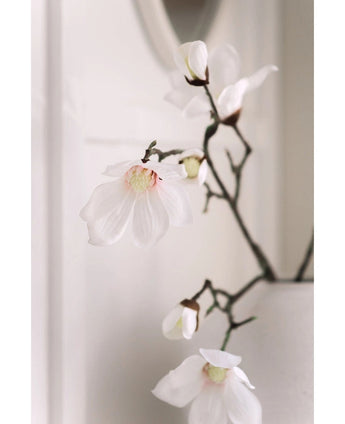 Een close-up van de Kunstmagnoliatak Real Touch Wit 98cm toont delicate witte magnolia bloemen met roze hart op donkere takken in een witte vaas, tegen een zacht vervaagde lichte achtergrond.