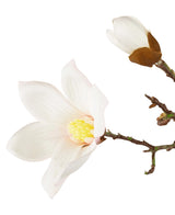 De Kunstmagnoliatak Real Touch Wit 98cm heeft een bloeiende witte magnoliabloem en een gesloten knop op een tak, tegen een effen witte achtergrond.