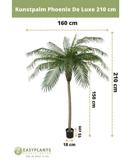 Palma artificiale Phoenix De Luxe 210 cm: palma artificiale, larghezza max 160 cm, altezza tronco 150 cm, dimensioni vaso H15xØ18 cm. Il marchio e il testo olandese sono visibili.