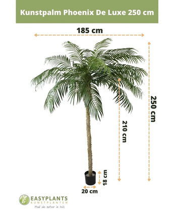 Kunstpalm Phoenix De Luxe 250 cm: Kunstmatige palmboom met lange gevederde bladeren in een zwarte pot. Hoogte: 250 cm, stam: 210 cm, bladspanne: 185 cm, potmaat: 18x20 cm (H x Ø). Tekst en afmetingen zijn overlappend.
