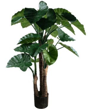 Piante Finte Alocasia 150 cm