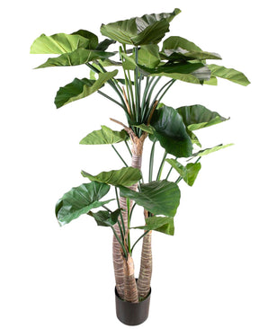 Piante Finte Alocasia 180 cm